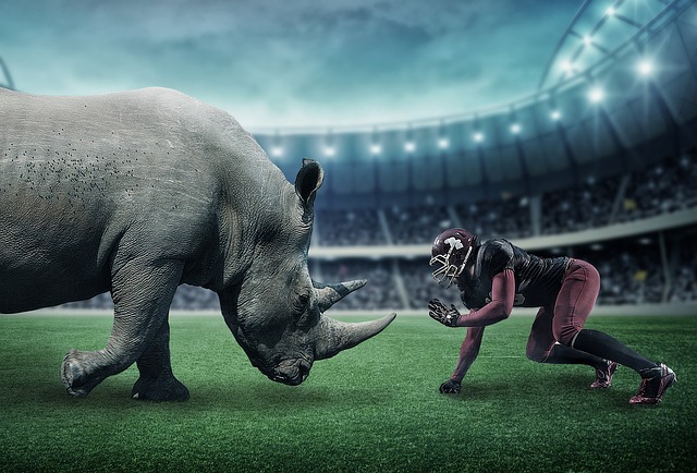 americký fotbal a nosorožec
